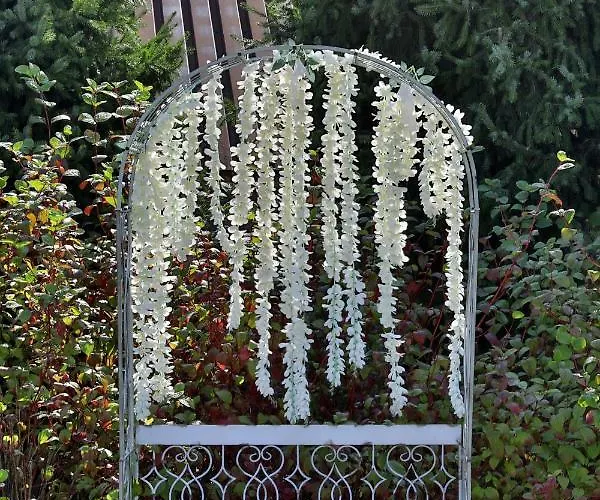 Bialy Dom Henlex Restauracja