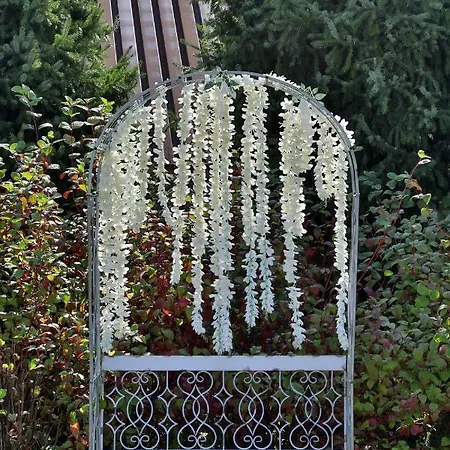 Bialy Dom Henlex Restauracja